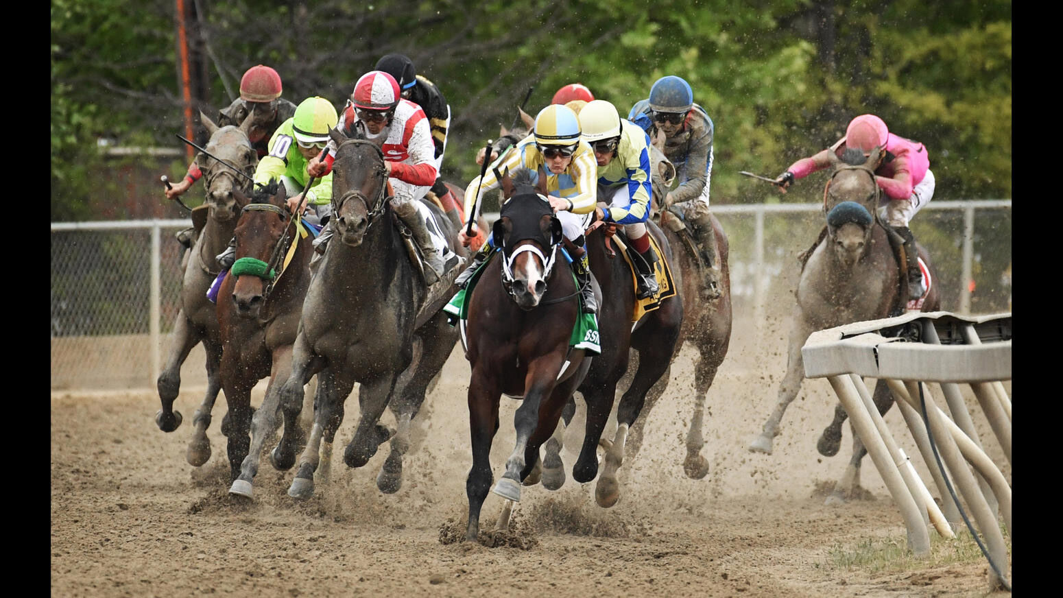 Preakness photos from years past